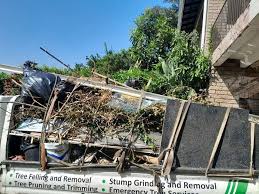 Shed Removal in Plymouth, CA